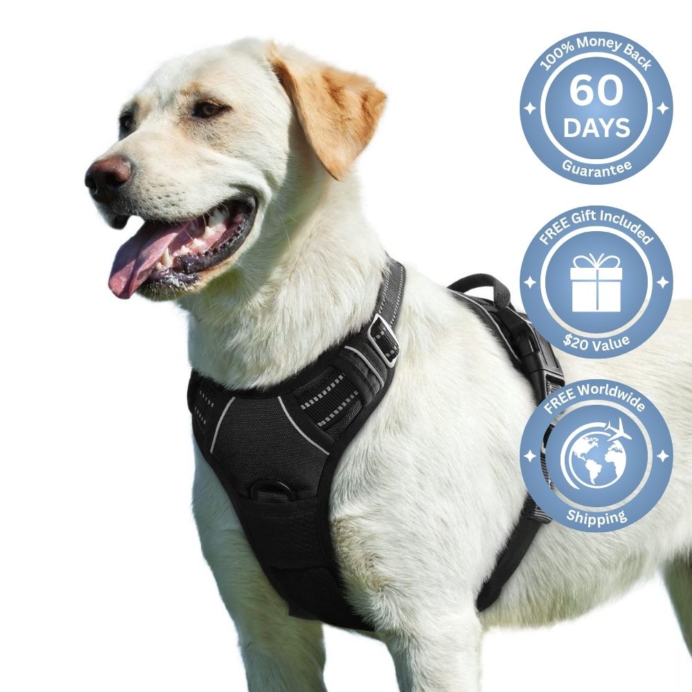 No Pull Dog Harness