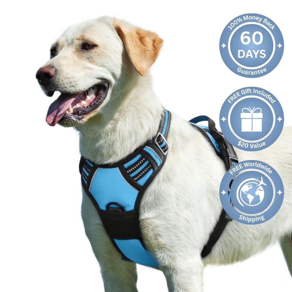 No Pull Dog Harness