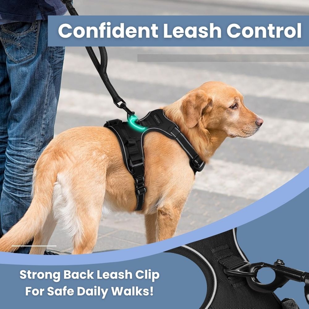 No Pull Dog Harness