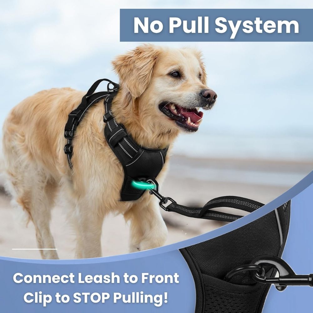 No Pull Dog Harness