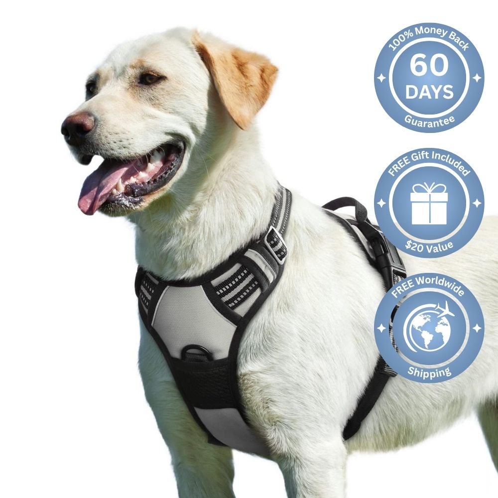 No Pull Dog Harness
