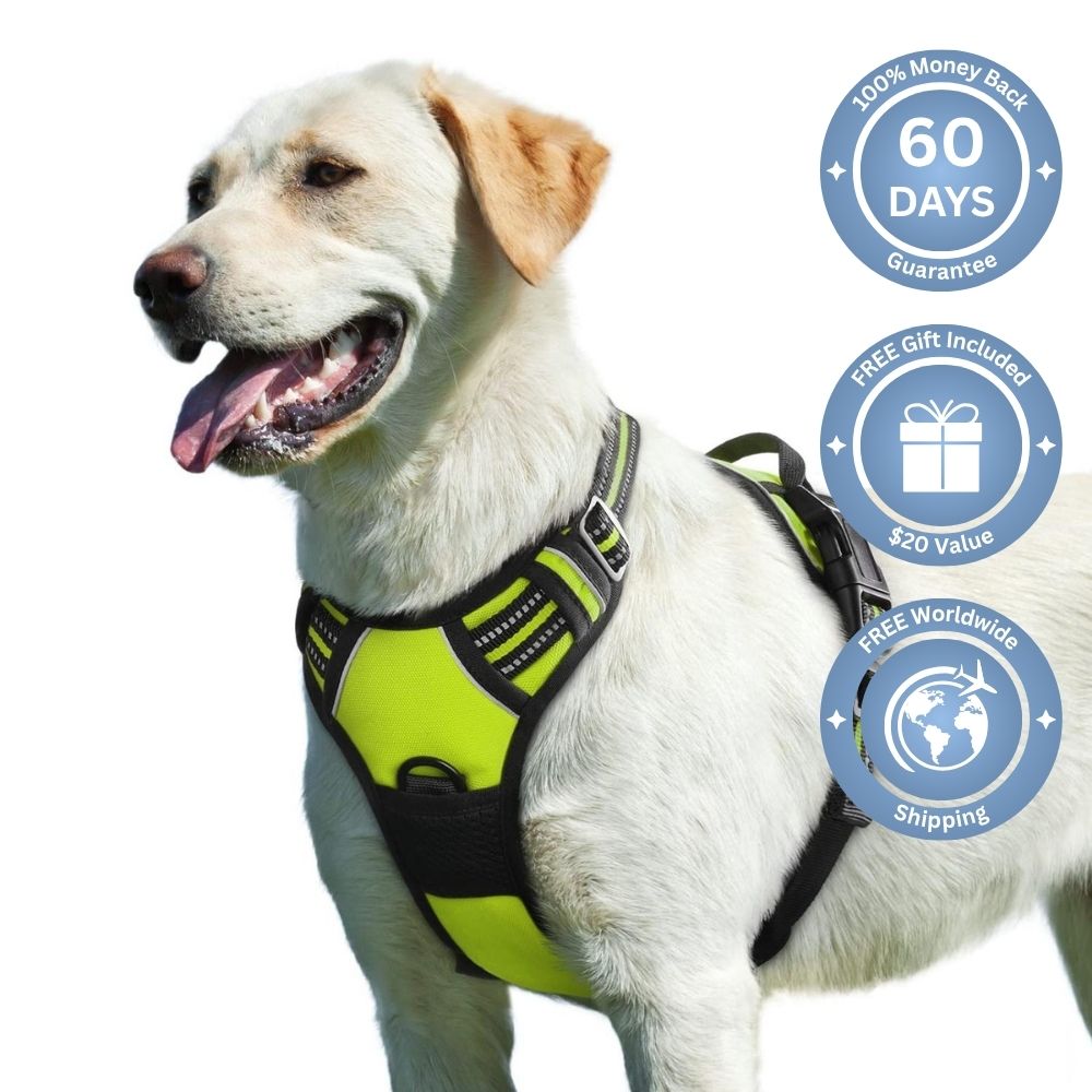 No Pull Dog Harness