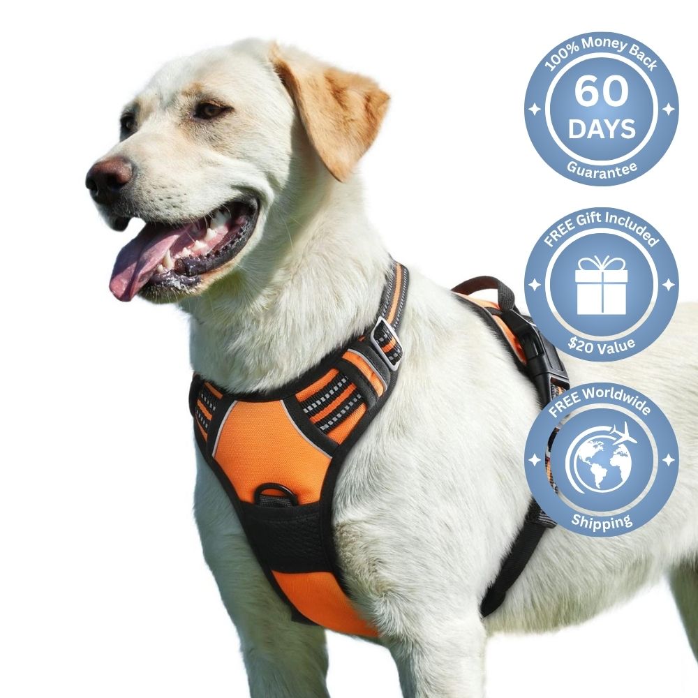 No Pull Dog Harness