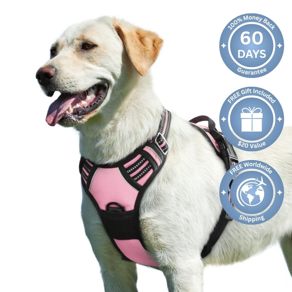 No Pull Dog Harness