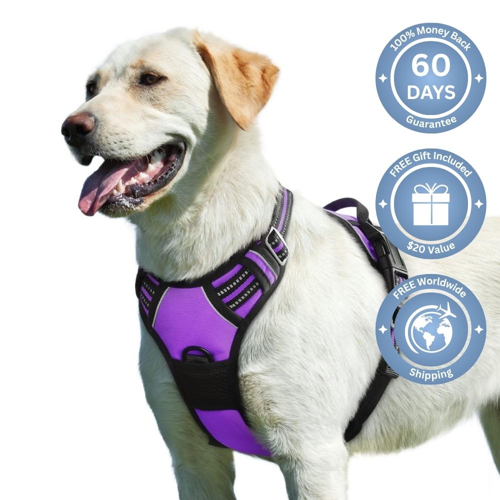 No Pull Dog Harness