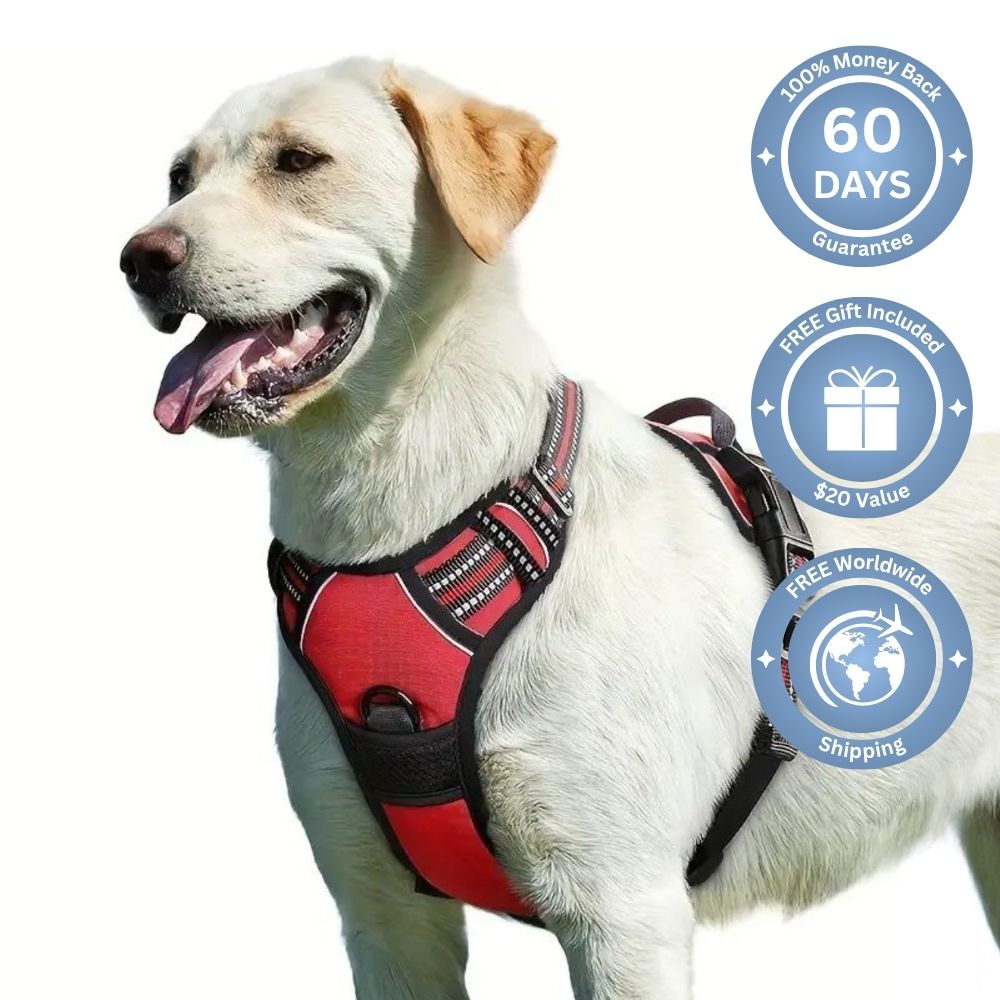 No Pull Dog Harness