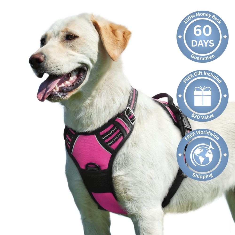 No Pull Dog Harness