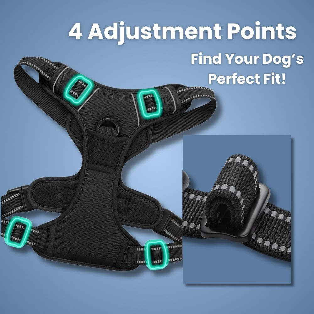 No Pull Dog Harness