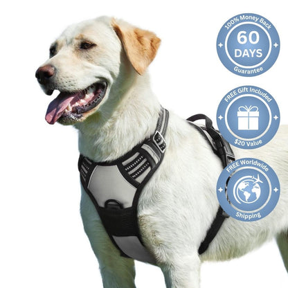 No Pull Dog Harness