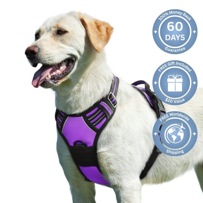 No Pull Dog Harness